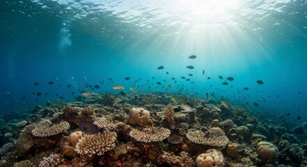 Naklejka premium Underwater coral reef teeming with fish