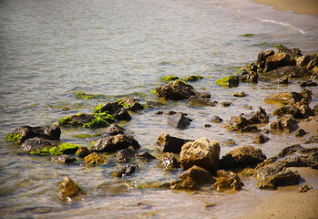 Coastal large sea rocks of wild nature