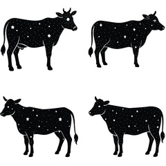 Black And White Cows With Star Patterns Celestial Vector Illustration Set