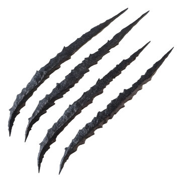 Unique black claw marks on a surface showing texture and detail