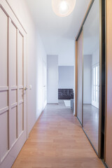 Modern Home Entryway Interior with Wooden Closet and Bright Lighting Fixture