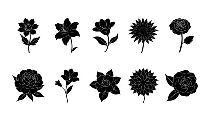 Silhouettes of Various Flowers in Black and White Illustrations