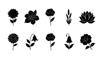 Black and White Silhouette Art of Various Flower Types and Designs