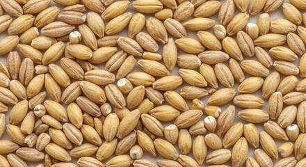 Fototapeta premium High-Resolution Close-Up of Pearl Barley Grains: A Detailed Texture of Golden-Beige Cereal Seeds for Culinary and Agricultural Use