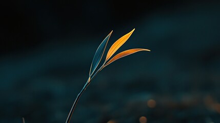 Two vibrant yellow-orange leaves emerge from a dark stem, set against a blurred, moody background