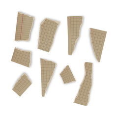 Torn pieces of notebook paper on a white surface