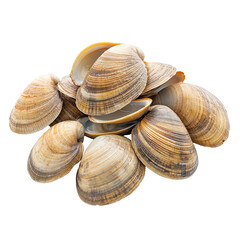 A Gathered heap of seashells, revealing pearly inner beauty, isolated on transparent background