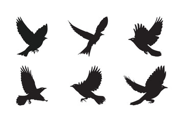 Obraz premium Birds flying in the sky silhouette isolated on white background