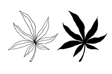 Linear sketch, doodle, silhouette of an autumn leaf. Vector graphics.