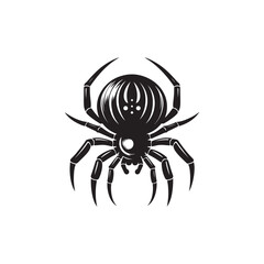 Spider  Vector (4).eps