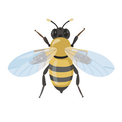 Bee: The Diligent Pollinators of Nature