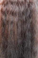 Close-up of brown frizzy hair texture, natural human hair texture background