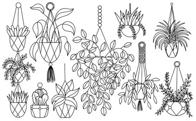 Macrame hanging home plants sketch vector set. Set of different home plants hanging
