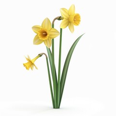 Three daffodils display vibrant spring hues.