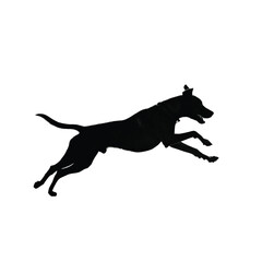 Mysterious Black Panther Silhouette Graceful Profile of a Fierce Wild Cat in Motion