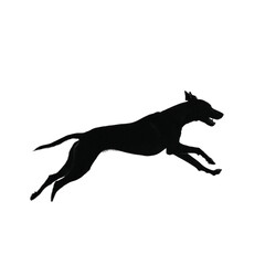 Mysterious Black Panther Silhouette Graceful Profile of a Fierce Wild Cat in Motion