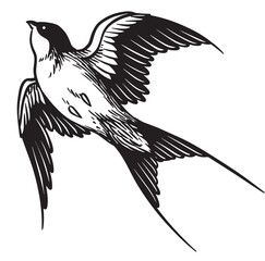 bird vintage hand drawing, engraving style