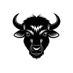 buffalo head on white background