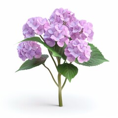 Soft lilac hydrangea blossoms with lush foliage.