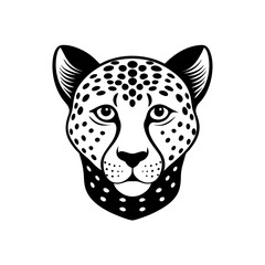 cheetah head on white background  