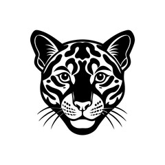 clouded leopard head on white background  .svg