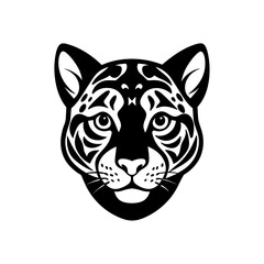 clouded leopard head on white background 