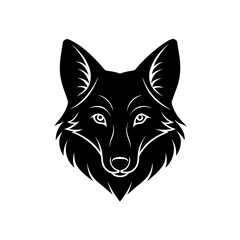 dhole head on white background  