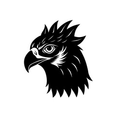 harpy eagle head on white background