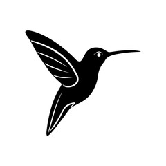 hummingbird head on white background 