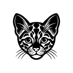 margay head on white background