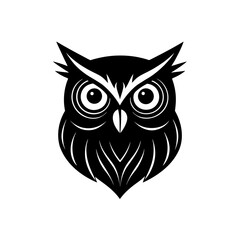 owl head on white background  