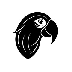 parrot head on white background  