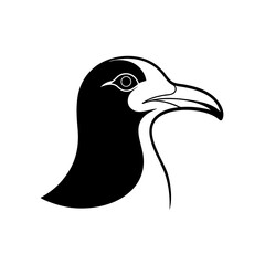 seagull head on white background  