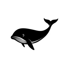 whale head on white background  