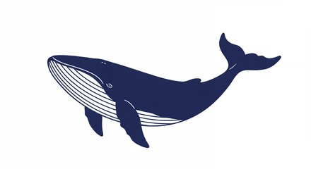 Obraz premium Blue whale illustration vector graphic