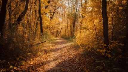 Obraz premium Golden autumn forest path