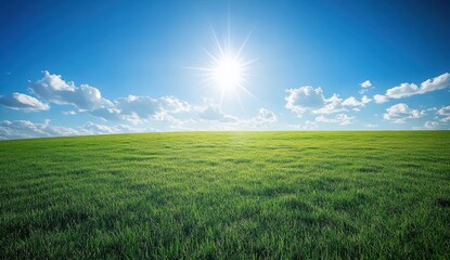 Obraz premium Sunny day, vibrant green field stretching to a bright blue sky with fluffy white clouds