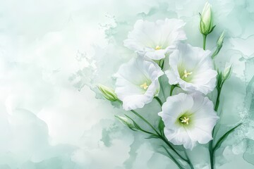 Delicate white flowers arranged on a pastel background.