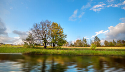 summer landscape with lake