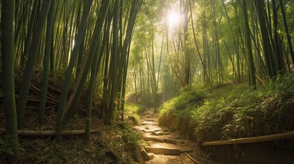 Obraz premium Sunlit Bamboo Forest Path (1)