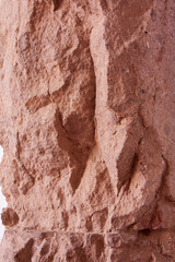 Closeup of red sandstone wall texture with natural erosion
