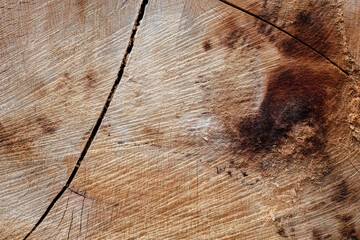 Detailed wood texture with dark burn mark and deep crack

