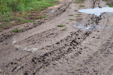 Muddy dirt road with tire tracks and puddles after rain
