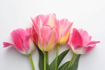 Naklejka premium Beautiful tulips on white background, flat lay