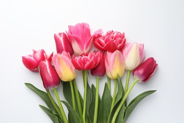 Beautiful tulips on white background, flat lay
