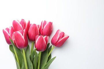 Beautiful tulips on white background, flat lay. Space for text