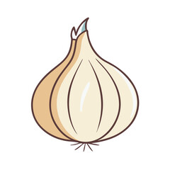 Illustration of a fresh onion vegetable bulb for cooking and healthy eating clipart design