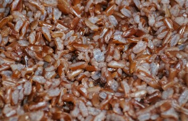 Closeup top view of the cooked Himalayan red rice, showing texture and color.