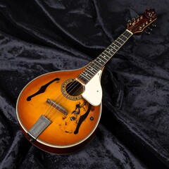 guitar