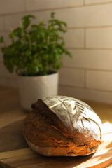 sourdough bread on wooden cutting board in a country house kitchen in front of basil